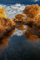 Autumn Colors